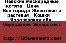 Невские маскарадные котята › Цена ­ 15 000 - Все города Животные и растения » Кошки   . Ярославская обл.,Переславль-Залесский г.